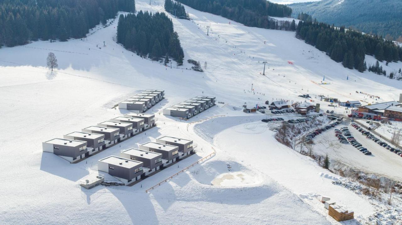 Naturpark Chalets Lambrecht By Alps Resorts Sankt Lambrecht Bagian luar foto
