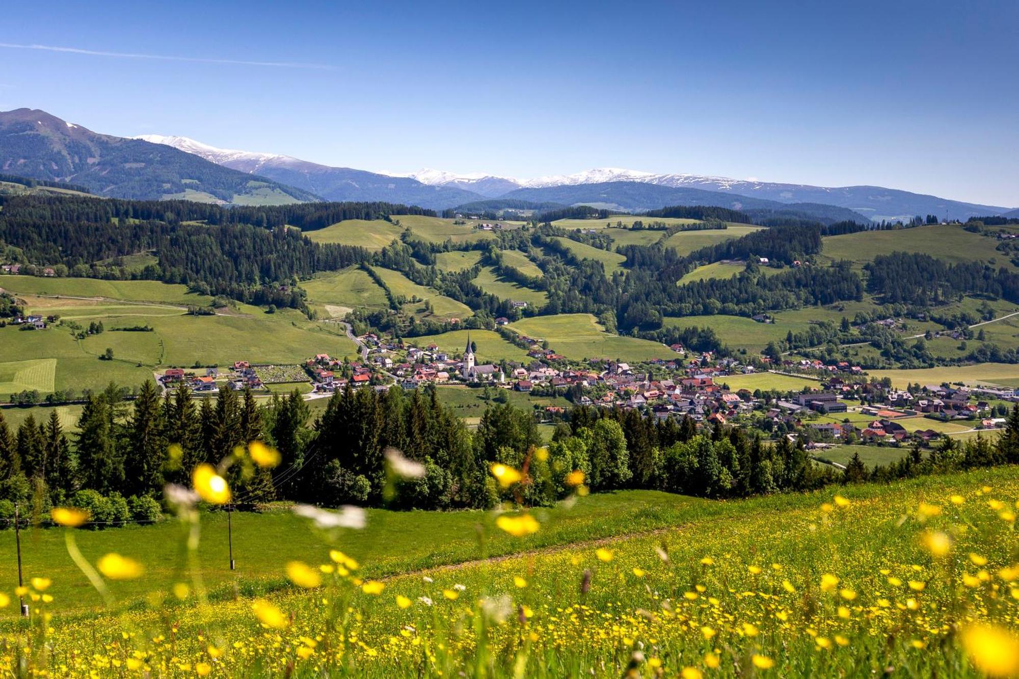 Naturpark Chalets Lambrecht By Alps Resorts Sankt Lambrecht Bagian luar foto